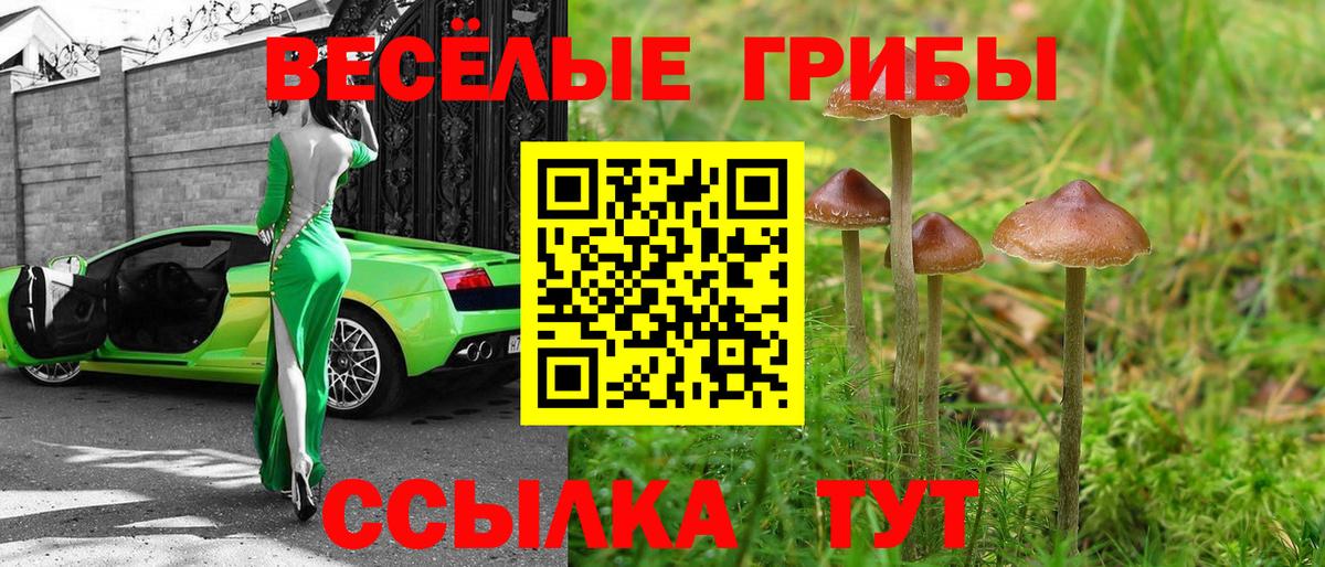 Псилоцибиновые грибы Magic Shrooms Карачаевск